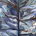 Winter Tree Night 1 (2014)